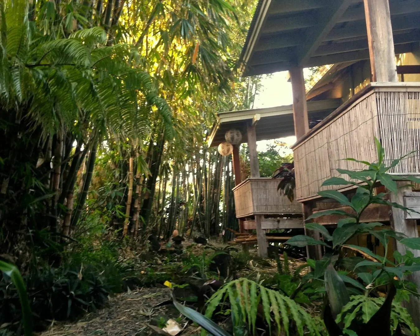 Hilo Bay Hale Bed And Breakfast