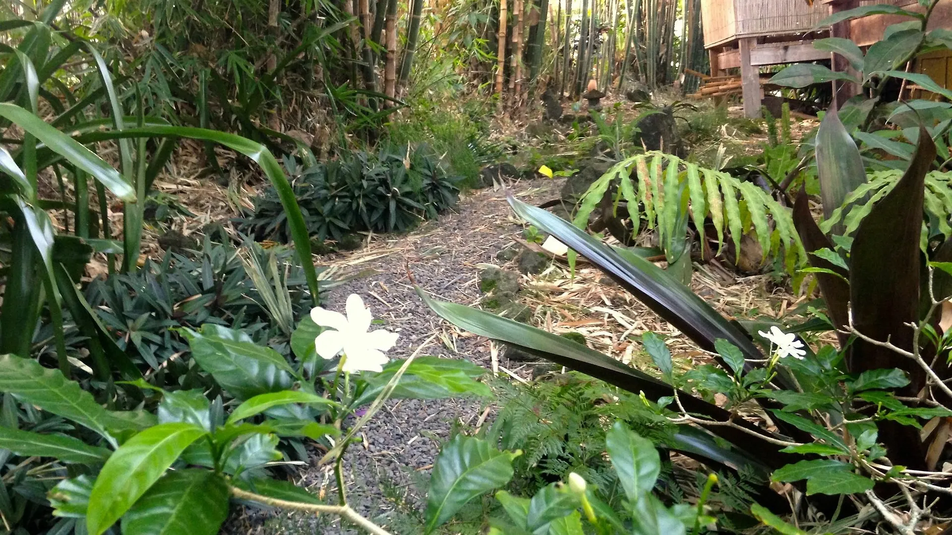 Hotel Hilo Bay Hale Bed And Breakfast